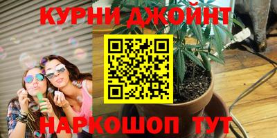 PSILOCYBIN Лесосибирск