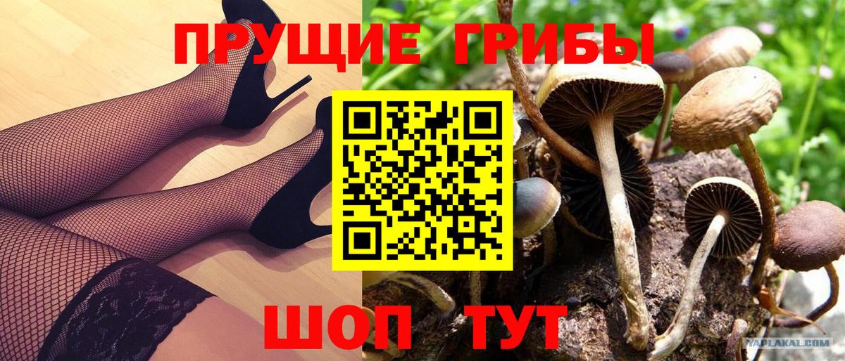 Уссурийск  Галлюциногенные грибы Psilocybine cubensis  Вход с VPN  купить   Галлюциногенные грибы мухоморы 