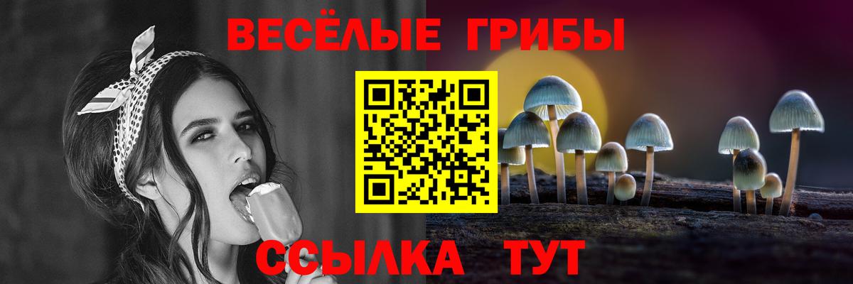 Галлюциногенные грибы GOLDEN TEACHER Уссурийск