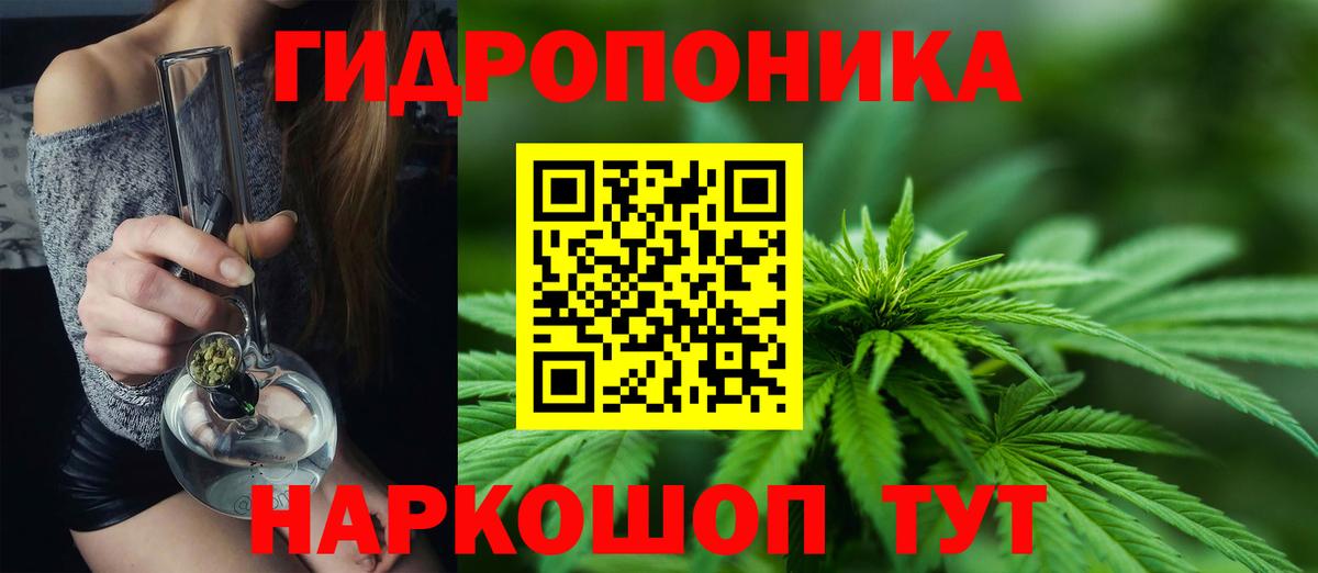 Шишки марихуана планчик  Вход с VPN  Бошки Шишки план  Конопля Ganja  Уссурийск  Конопля семена 